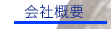 ЊTv